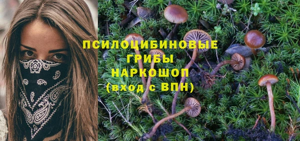 прущая мука Балахна