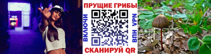 гидра онион Лесосибирск Псилоцибиновые грибы MAGIC MUSHROOMS